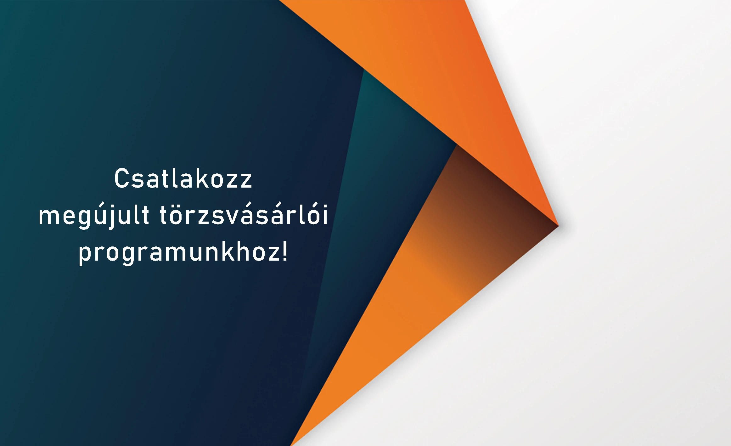 Compaya Webáruház