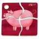  Mini Discovery Puzzle: Pig