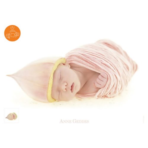 Schmidt Spiele Eukalyptusknospe, Anne Geddes, 1000 db (57986)