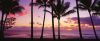 Schmidt Spiele Palm Cove, Queensland, Australia, 136 db (59366)