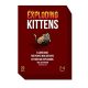  Exploding Kittens - 1st Ed. (MEOW)  kártyajáték