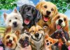 Dog Selfie, 500 db (58390)