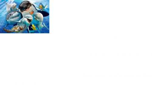 Schmidt Spiele Underwater friends, 200 db (56360) Gyerek Kirakó