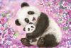 Schmidt Spiele Panda, lama, sloth , 3x24 db (56368)