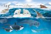 Schmidt Spiele Wild Life - In the Arctis, 60 db (56405)