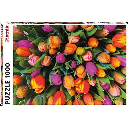 Tulipánok, 1000 db (553943)