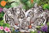 Schmidt Spiele Tiger family, 150 db (56420)