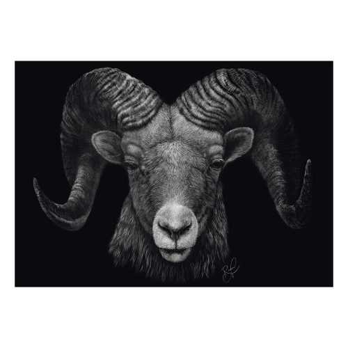 Schmidt Spiele Dominance, Ram, the epitome of fire (58540) 1000 db  Kirakó 