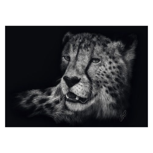 Schmidt Spiele Speed-Cheetah, the epitome of grace (58542) 1000 db  Kirakó 