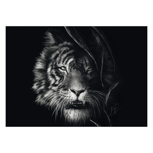 Schmidt Spiele Wilderness-Tiger, the epitome of freedom (58541) 1000 db Kirakó 