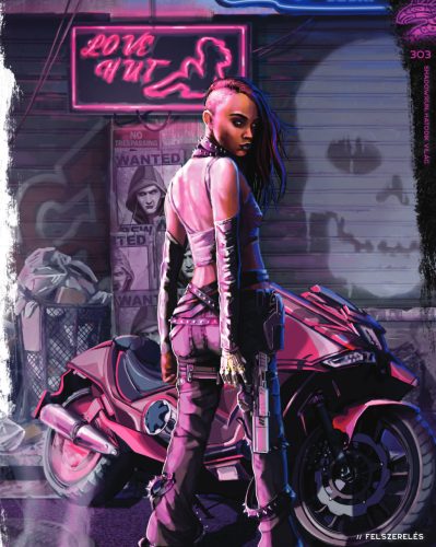 Shadowrun: Alapkönyv - Városi kiadás: Seattle