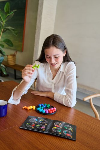 Smart Games IQ Deluxe - Kör