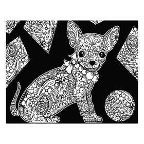 Colorvelvet Kép 47*35 méret + Filctoll Csivava