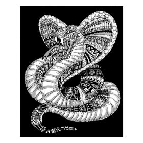 Colorvelvet Kép A4 + Filctoll Kobra