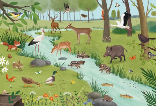 Schmidt Spiele Forest and meadow animals 3x24 db (56581) Gyerek kirakó 