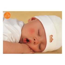   Schmidt Spiele Michael Anne Geddes, 111 db (58904) Gyerek Kirakó